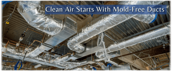 Air Duct Mold Removal in Arlington VA