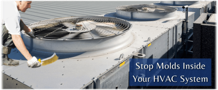 HVAC Mold Removal Arlington VA